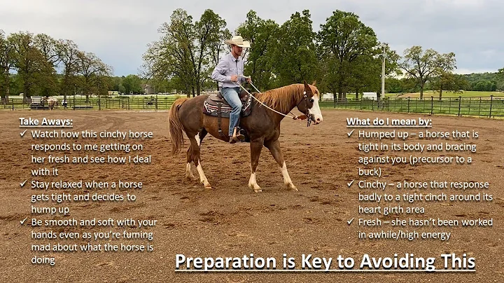 How To Keep A Horse From Bucking