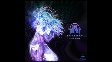 Zone Tempest - Synergy (Original) (Higher Recordings)