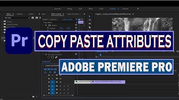 Copy and Paste Attributes / Effects On Clips Adobe Premiere Pro CC Hindi / Urdu
