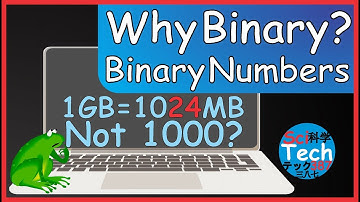 How Computers Represent Numbers?