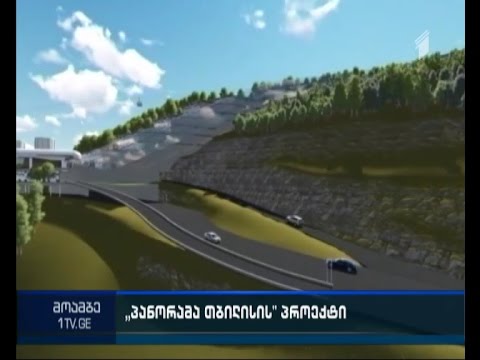 \"პანორამა თბილისი\"  - არასამთავრობოების ნაწილი პრემიერთან შეხვედრას ითხოვს