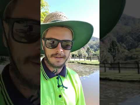 Dam Cleaning Services