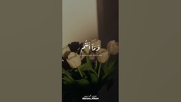 وَمَا أَصَابَكُم مِّن مُّصِيبَةٍ فَبِمَا كَسَبَتْ أَيْدِيكُمْ  #القارئ_محمد_اسبيعان