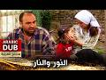 النور والنار   فيلم تركي مدبلج للعربية                نجومي
