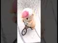 自転車大好きですっ☆おおむね成功ですっ☆