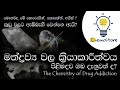 The Chemistry of Drug Addiction | මත්ද්‍රව්‍ය ගත්තම මොකද වෙන්නේ? | Chem Life 10