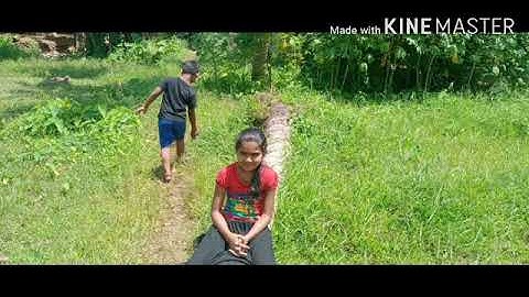 Std 4 EVS - Fields And Forests (part2)