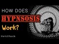 How the hell does HYPNOSIS work??