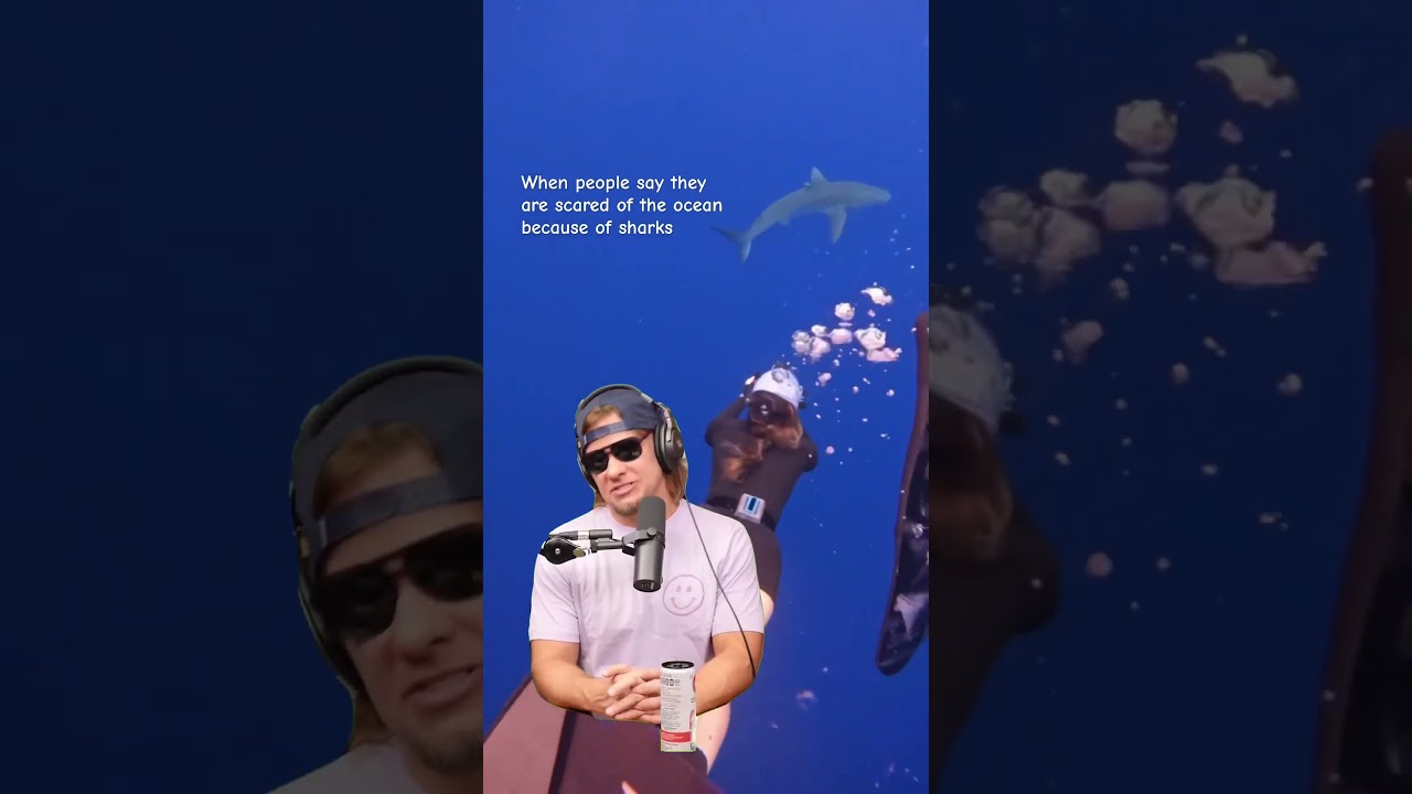 Sharks are docile and vital for ocean health 