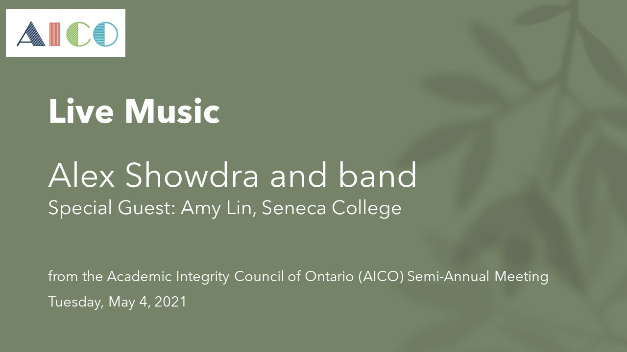 Academic Integrity Council Of Ontario Resources