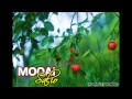 Moqai Salio Moqai Salio