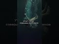 4 худших сна в Исламе 4 худших сна в Исламе