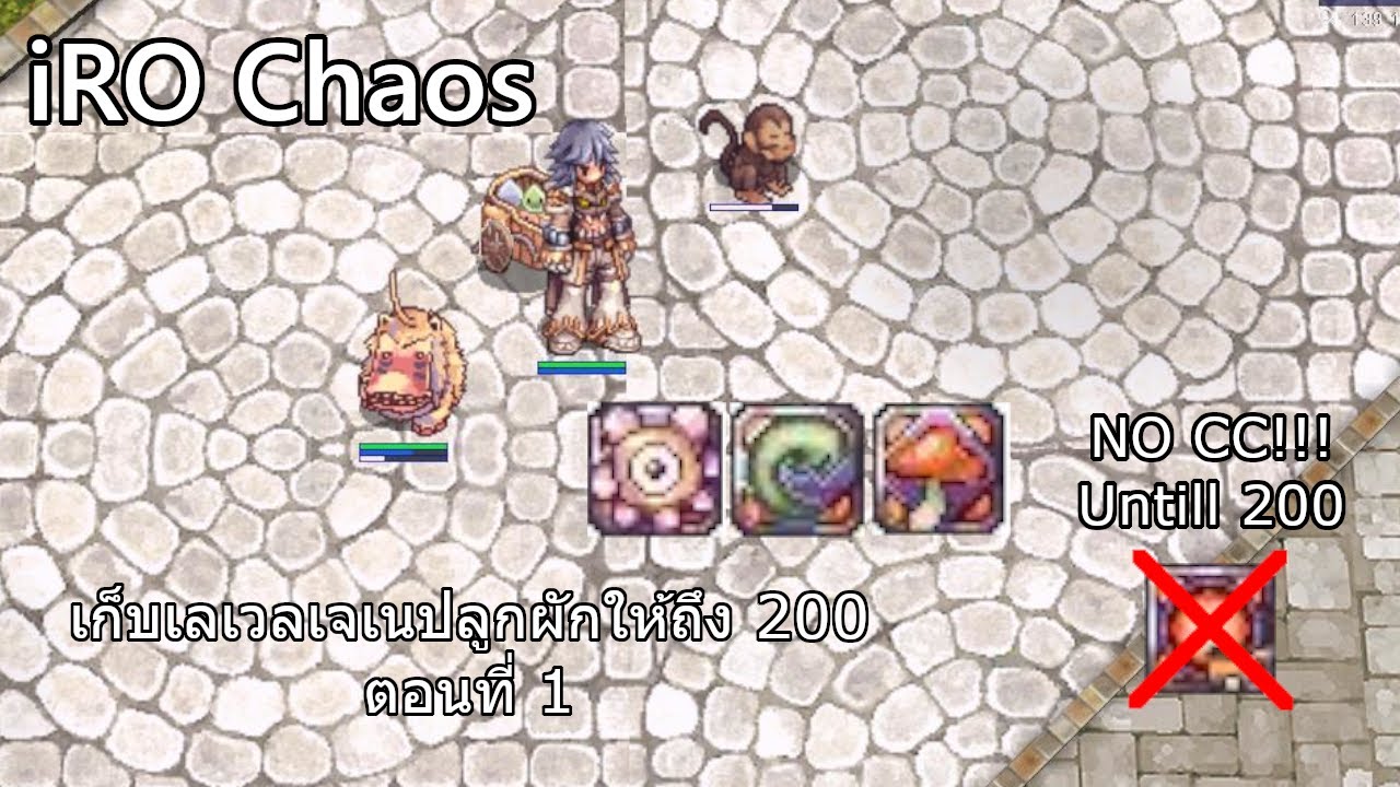 Ragnarok Online (iRO Chaos) - เก็บเลเวลเจเนสายปลูกแบบไม่ใช้ CC part 1 ...