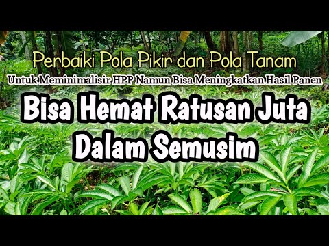 Video: Apakah pengeluaran tanaman intensif?