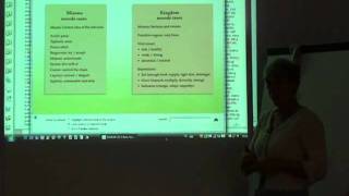 Anne Vervarcke Presenting Vital Approach Schemas, Part4