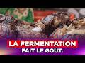 NCI Reportages | Quand la fermentation fait le goût
