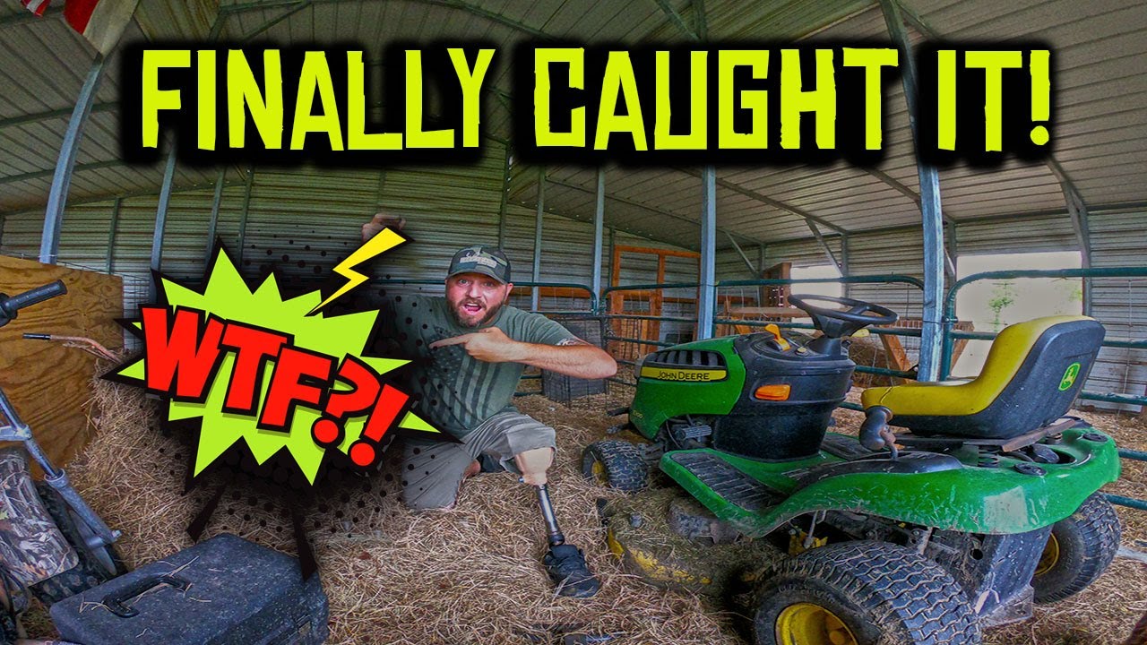 Went Into My Barn Today And This Happened - YouTube