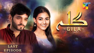 Gila Last Episode 77 [ Wahaj Ali - Anzela Abbasi ] Best Pakistani Serial - HUM TV