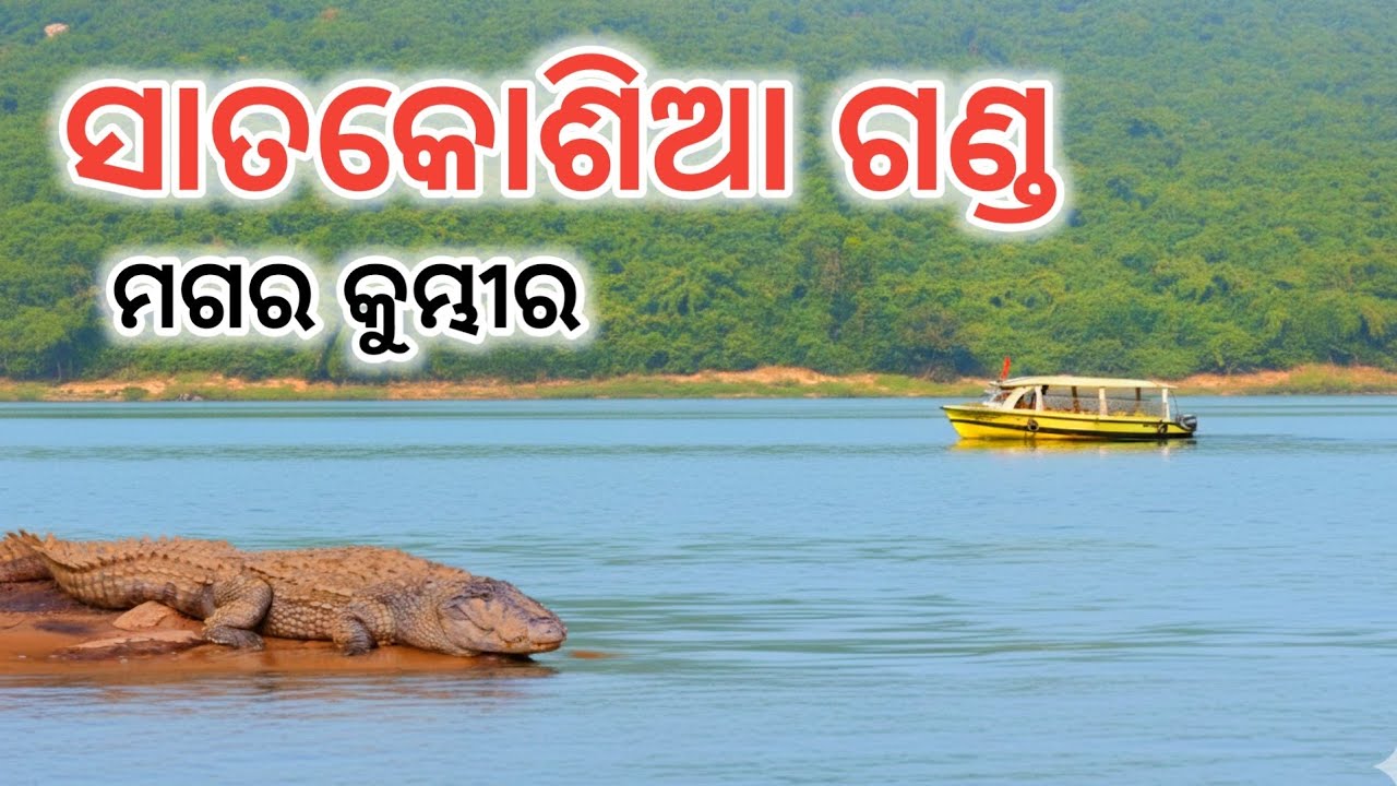 ଗଣ୍ଡରେ କୁମ୍ଭୀର Satakosia Ganda ,Gania,Nayagarh @odiavlogtalk