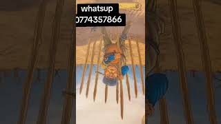 ඔයාගෙ  ආදරය ,  ඔයා , Third   Party   මොකද  වෙන්නේ?#tarotreading #tarot #viral#tarotreader #pppppppp#