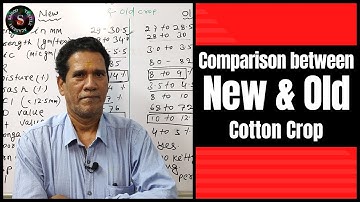 New Cotton Crop VS Old Cotton Crop || Detailed Comparison || Sahoo Textile Academy