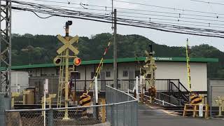 近鉄大阪線 名張 変な塗装踏切警報機 カラシ色