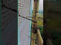 Working Kolkata #short #trending #viral