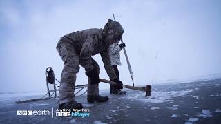 Life Below Zero S7 Bbc Earth Bbc Player