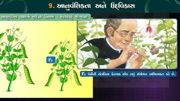 STD 10 Science Chapter-9