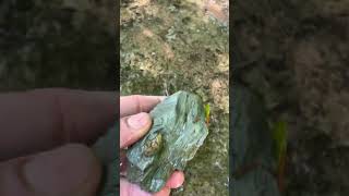 Gold found in Alabama: Pyrite fool's gold  #gold #pyrite #alabama