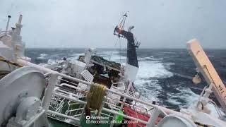 Моряк из Мурманска опубликовал видео бушующего шторма