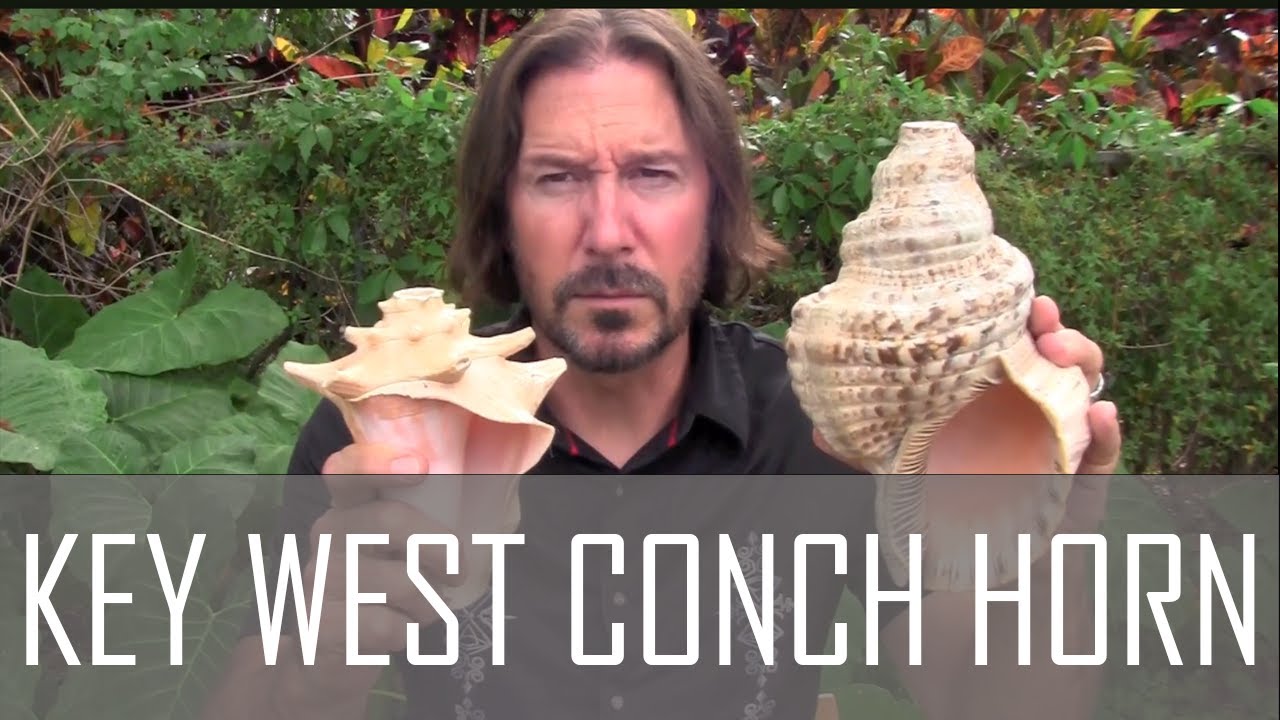 World Music Safari - Key West Conch Horn