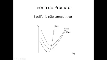 O que é equilíbrio do produtor?