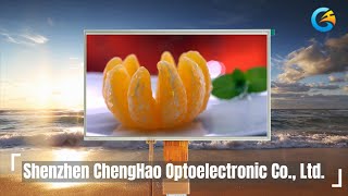 Touch IPS LCD Display Modules 10.1 Inch All Viewing Angle With RGB Interface