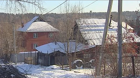 Жительницу Прикамья могут посадить за спил черемухи около дома