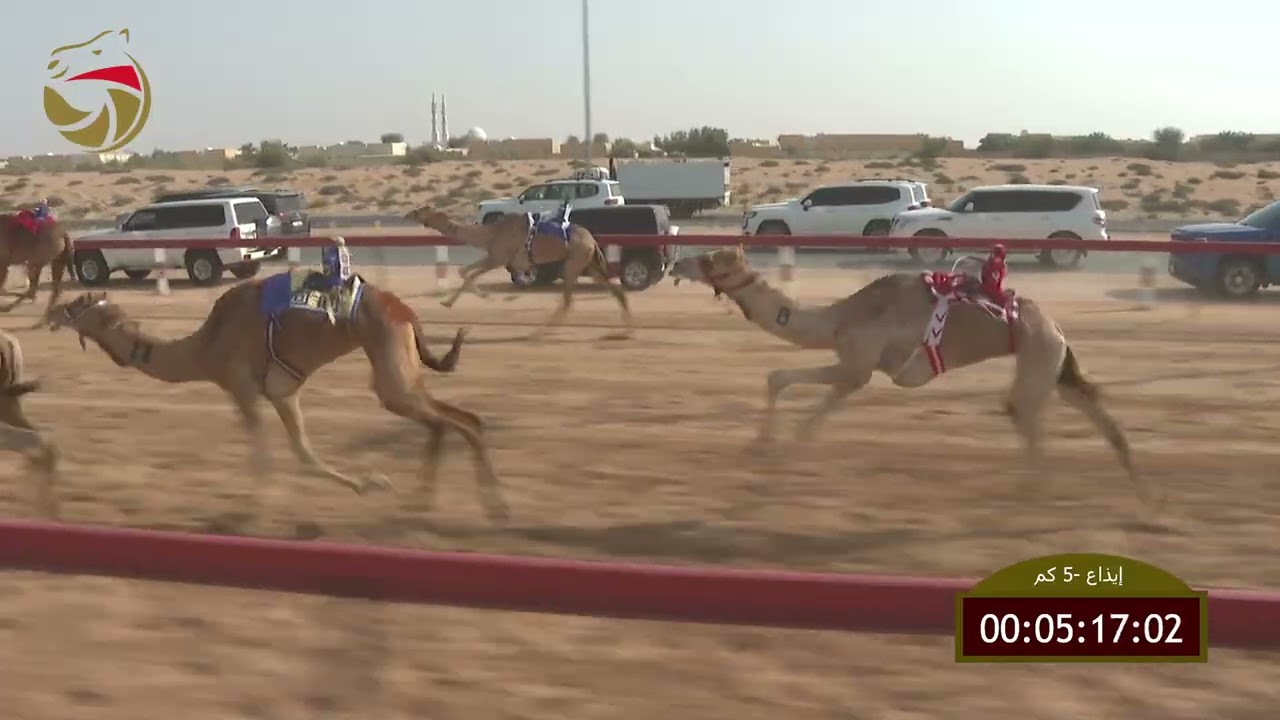 سباق الإيذاع – لهباب 03-03-2026 ش13 الهبيبه لـ سعادة فرج علي بن حموده  7:41