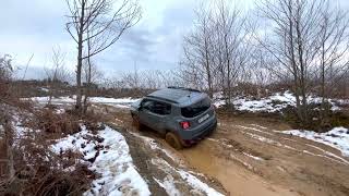 Jeep renegade off road