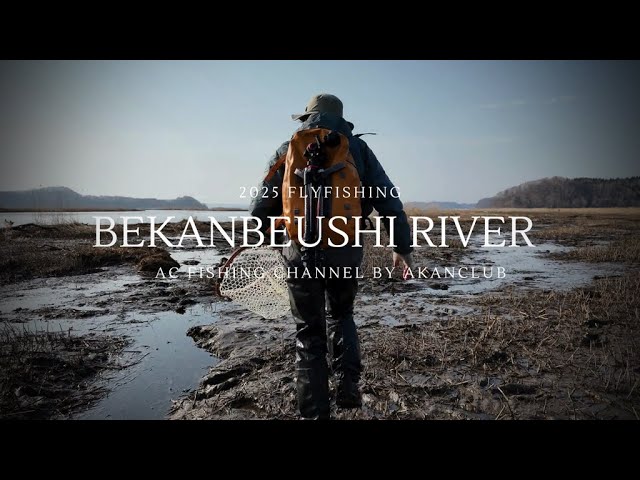 北海道フライフィッシング【阿寒クラブ ストリーマーで湿原の巨大