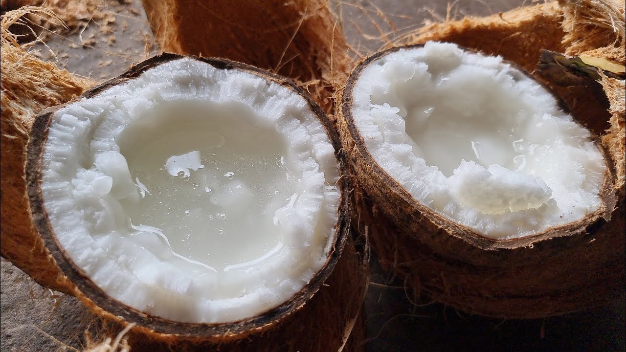 TOP 1 EXPENSIVE Coconut in The World Vietnamese Street Food YouTube