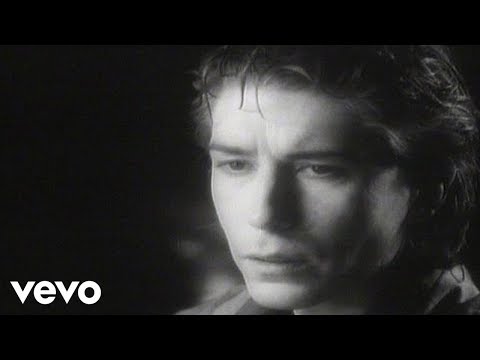 The Psychedelic Furs - The Ghost in You (Official Video)