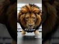 Best Gym Music High Energy Beats To Crush Your Workout Fit Leon 