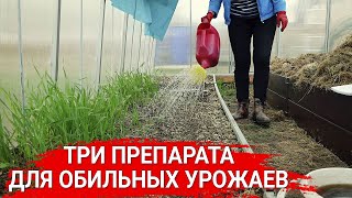 Три препарата для обильных урожаев