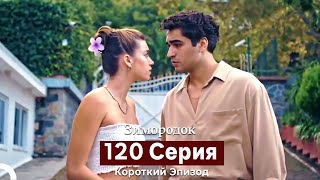 Зимородок 120 Cерия (Короткий Эпизод) (Русский Дубляж)