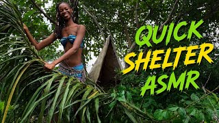 I Found the Perfect Tree to Build My Shelter