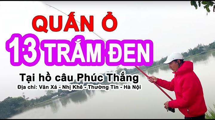 So sánh hiệu quả câu lục và câu lưỡi đơn năm 2024