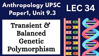 Transient & Balanced Polymorphism!