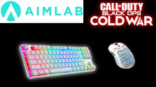TIPS/BEST COD SENSITIVITY And DPI Settings For Black Ops Cold War Season 4