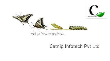 CATNIP INFOTECH || BUSINESS AUTOMATION || RPA  || HOW ORGANIZATIONS CAN BENEFIT