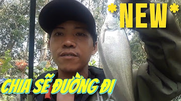 CHIA SẼ ĐƯỜNG ĐI CHI TIẾT đến điểm câu cá,*NEW* được mệnh danh là kênh thác lác.