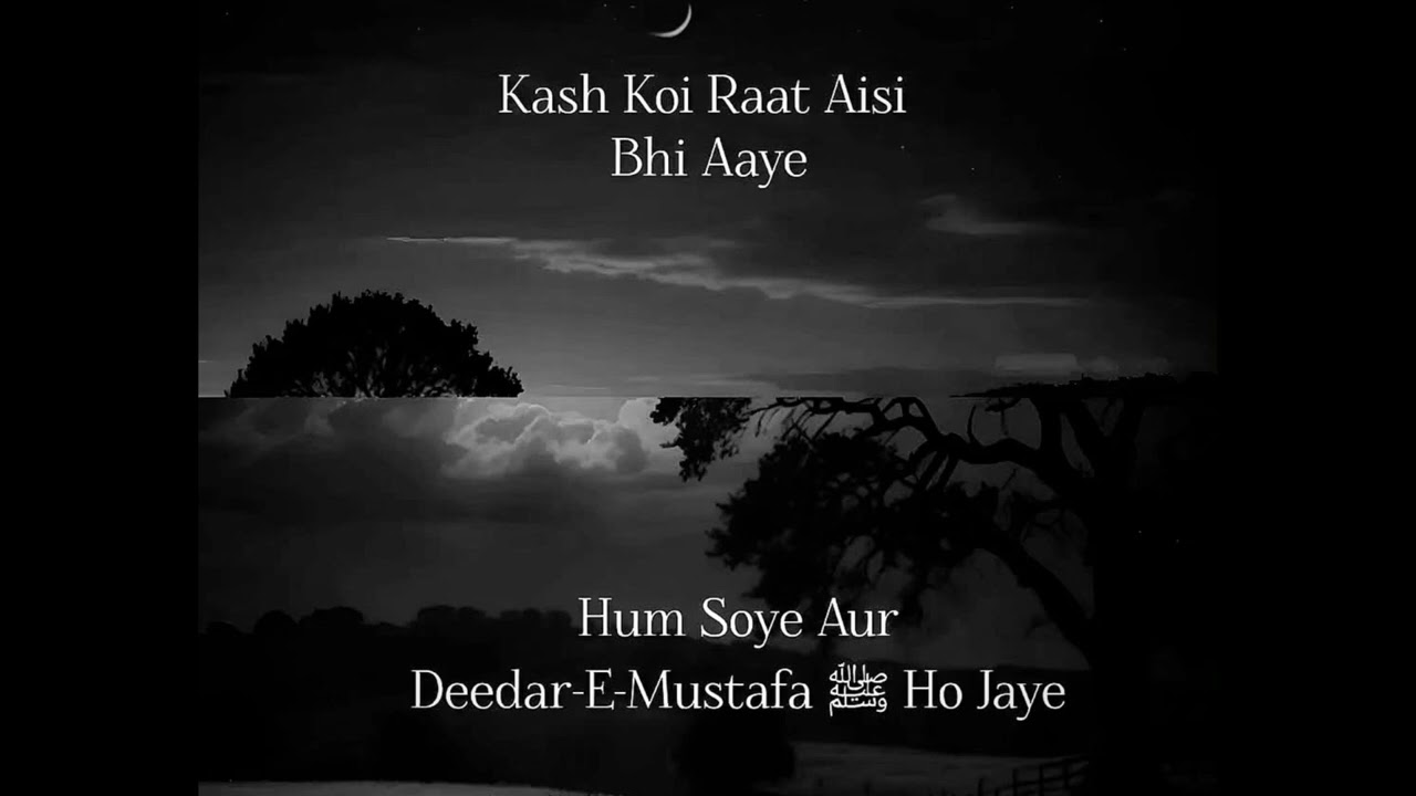 Kash Koi Raat Aisi Bhi Aaye | Deedar-e-Mustafa ﷺ | Emotional Islamic Status | Beautiful Night 
